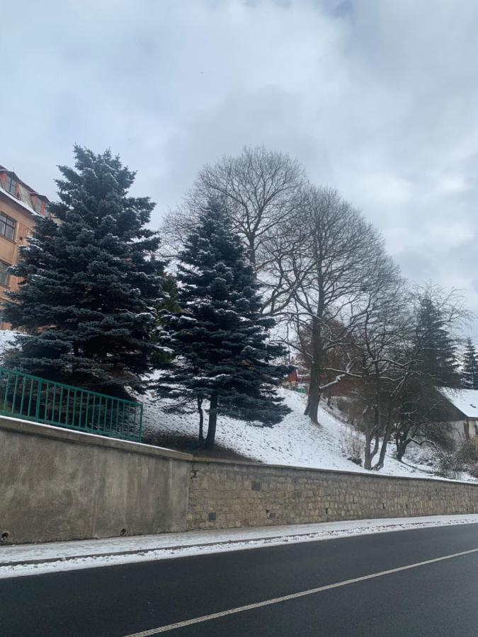 Apartman V Krusnych Horach-Free Parking Jáchymov Exterior foto